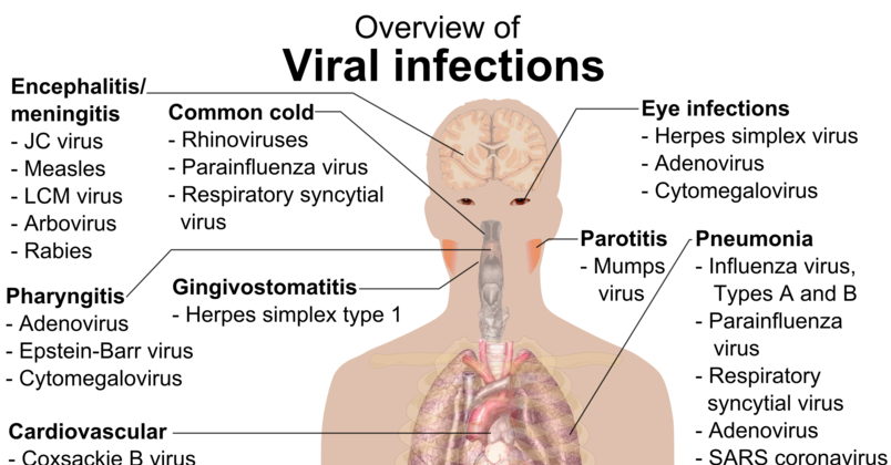Overview Of The Viral Infections Chart Nclex Quiz 3564