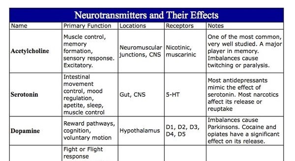 neurotransmittersandtheirfunctions