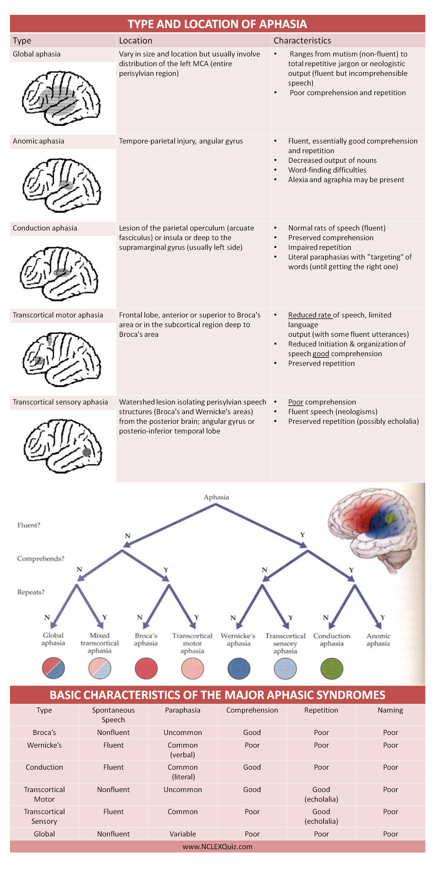 Types Of Aphasia Chart