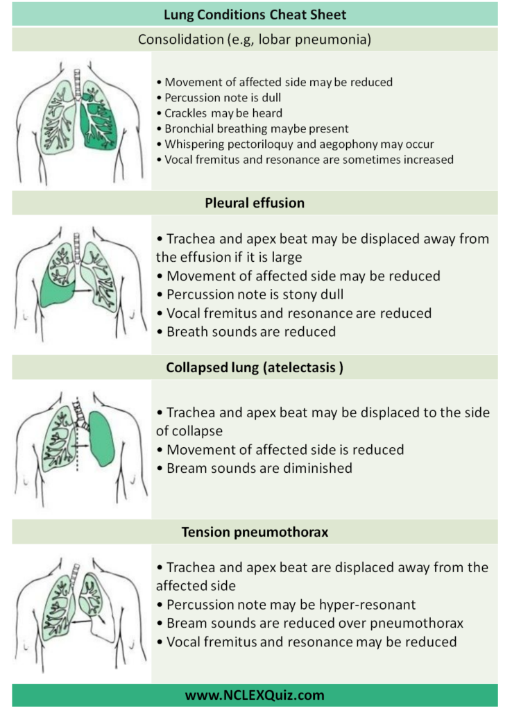pulmonary embolism lung sounds