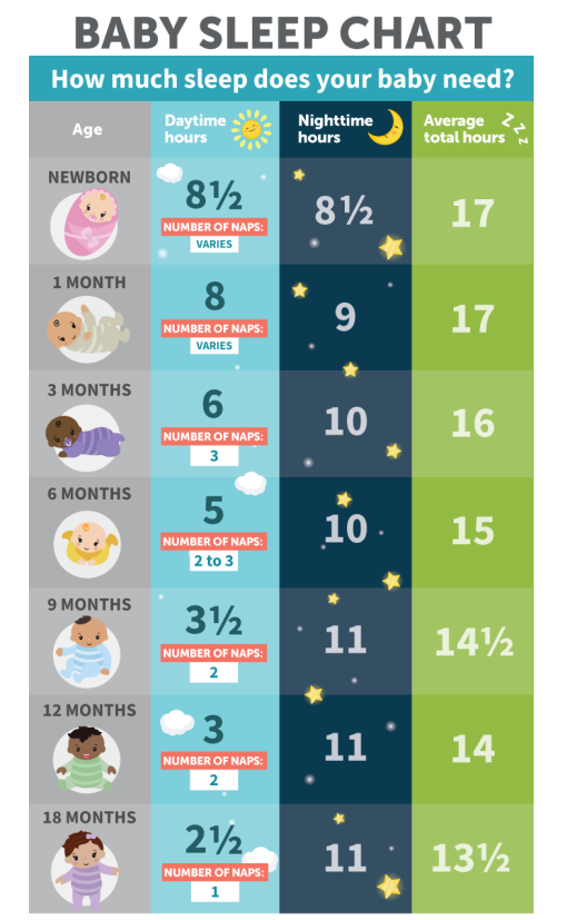 Baby Sleep Chart How Much Sleep Do Babies & Toddlers Need? NCLEX Quiz