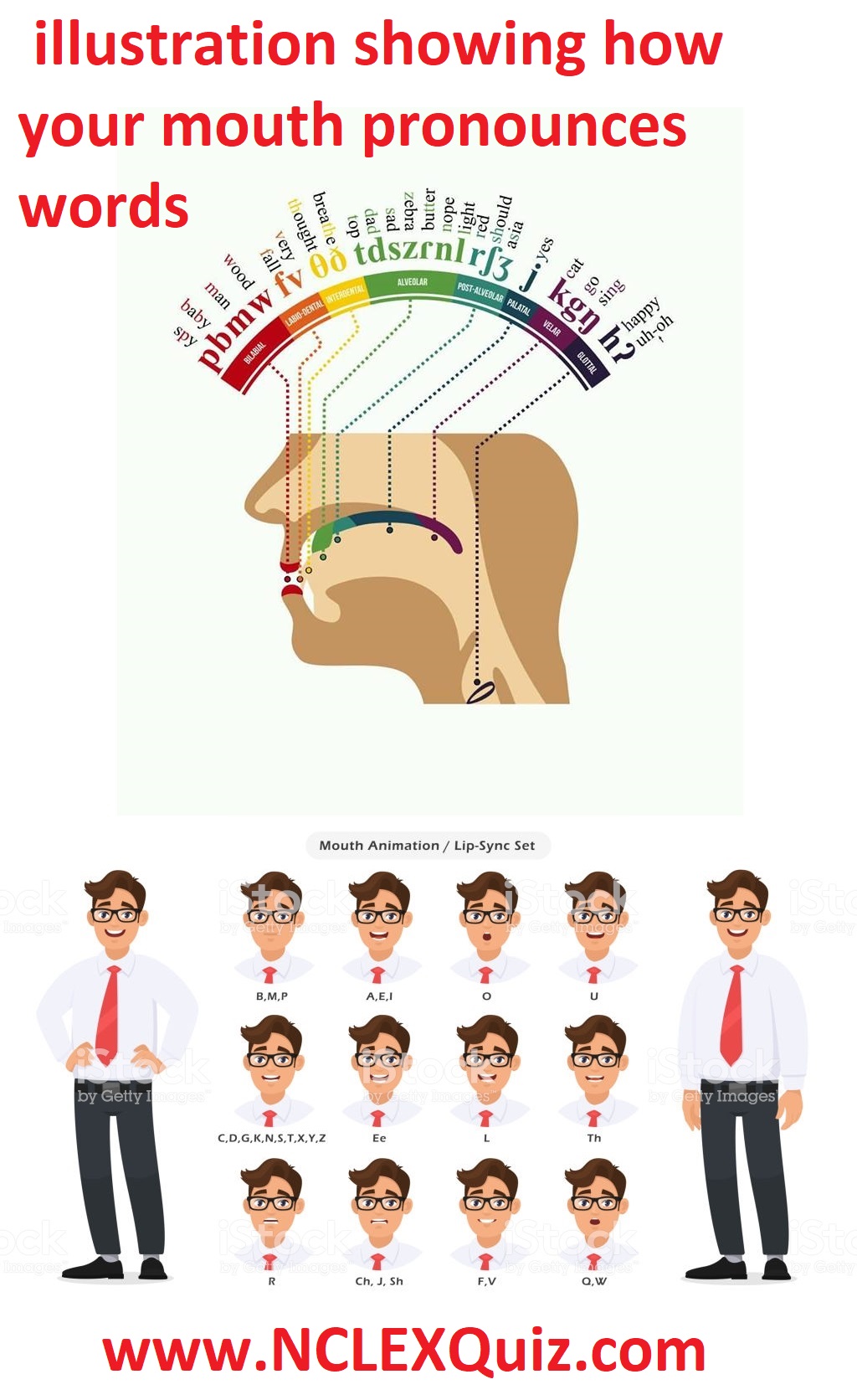 Illustration Showing How Our Mouth Pronounces Different Words & Sounds